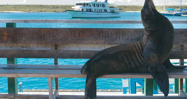 Classic Galapagos: Southern Islands (Grand Queen Beatriz) - Peregrine Adventures