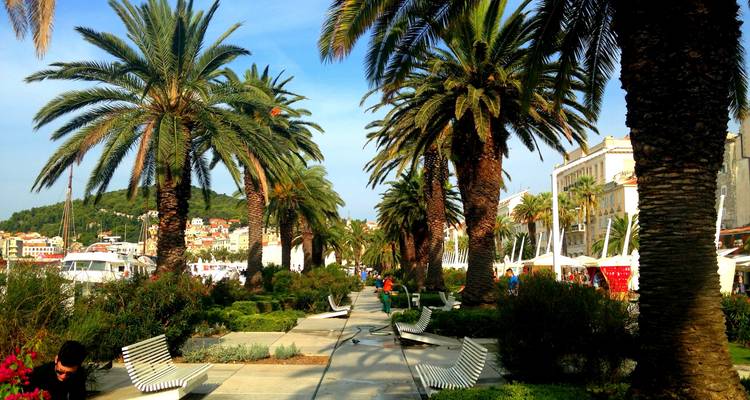 Paseo bordeado de palmeras con gente caminando.
