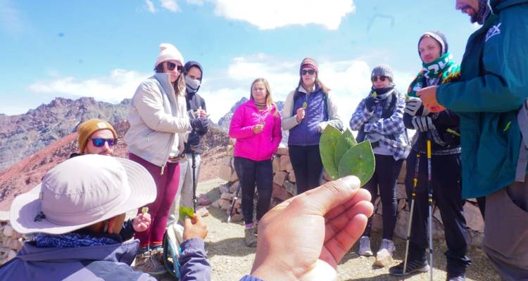 Groupe participant à un rituel de feuilles de coca en haute montagne.