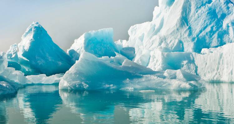 Antarctic Explorer from Ushuaia 9 day - Intrepid Travel