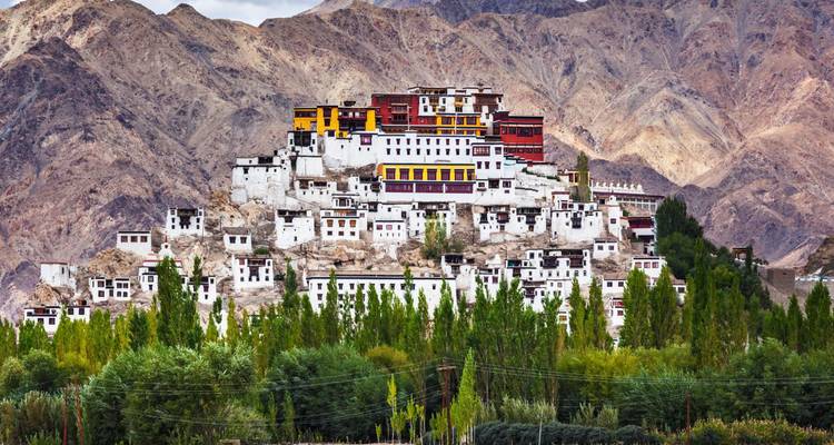 Whitewashed monastery complex cascades down a rocky hill amid green poplars in Ladakh.