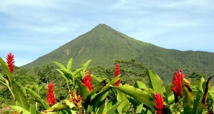 El Volcán Arenal al fondo con vibrantes flores rojas en primer plano.