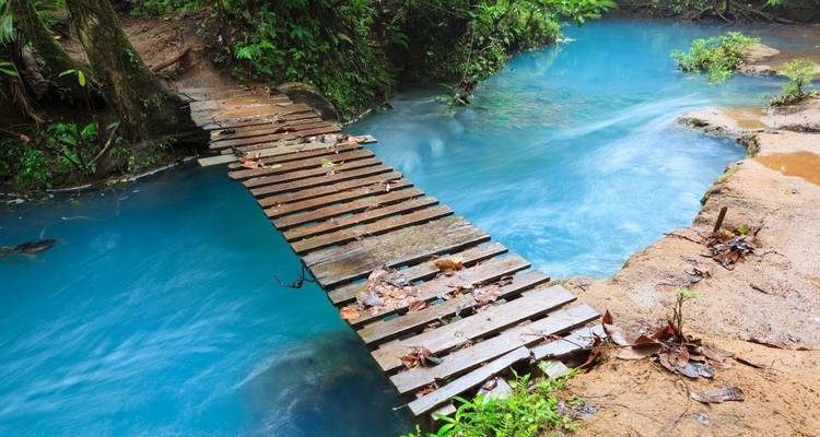 Pequeño puente de madera sobre un arroyo azul vibrante en la selva.