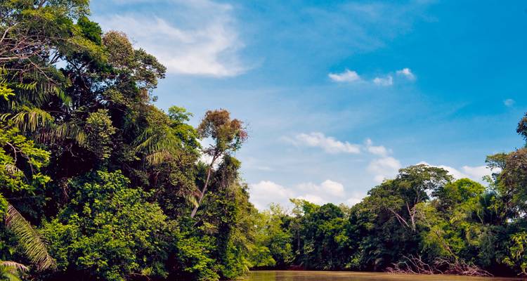 Rivière brun serein serpentant à travers une épaisse forêt tropicale verdoyante sous un ciel bleu éclatant avec des nuages floconneux.