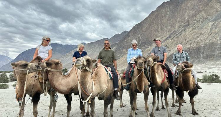 Les voyageurs chevauchent des chameaux de Bactriane en file indienne à travers la vallée sablonneuse de Nubra avec des montagnes escarpées en arrière-plan.