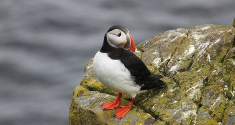 Iceland's Golden Circle & South Coast Self Drive Tour - Carpe Mundo