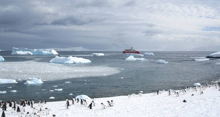 Quest for the Antarctic Circle - G Adventures