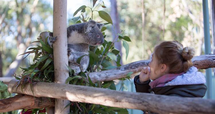 Sydney to Cairns Boutique East Coast Australia Tour (Valid April 1, 2019 - March 30, 2020) - Via Travel