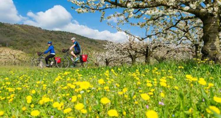 Rhone Cycle Path: Lyon to Provence - UTracks