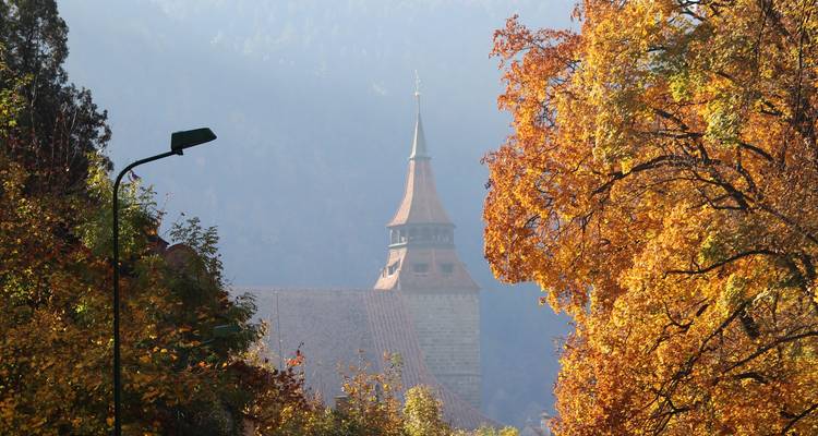 Autumn trees of gold frame a medieval tower roof rising through morning mist.