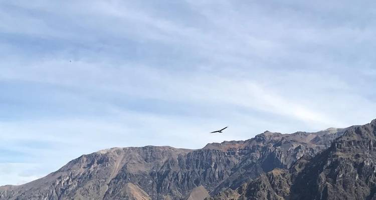 Peruvian Highlights(Without Inca Trail Trek,Start Lima, End Cusco) - Contiki