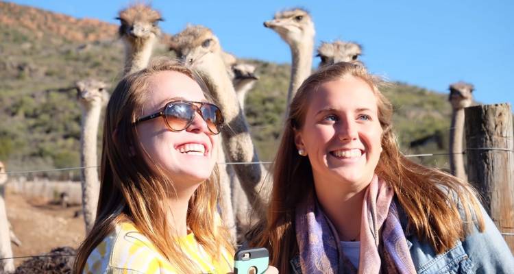 4-Day Group Garden Route Adventure Tour - Earthstompers Adventures