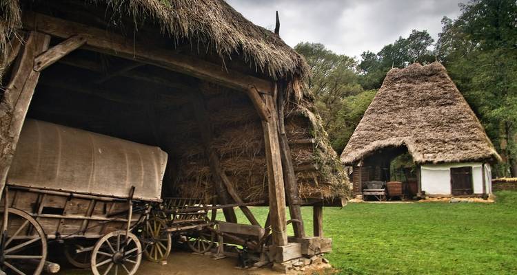 Traditional thatched barns and wagon displayed in an open-air rural museum surrounded by greenery.