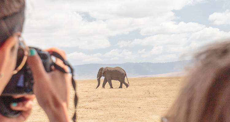 Les clients du safari photographiant un éléphant solitaire traversant la plaine aride
