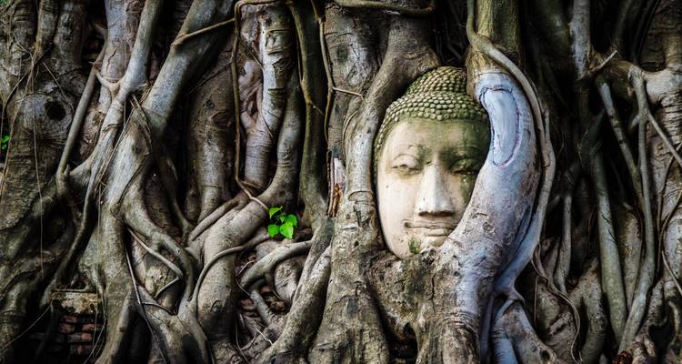 Tête de Bouddha entrelacée dans les racines d'arbre.