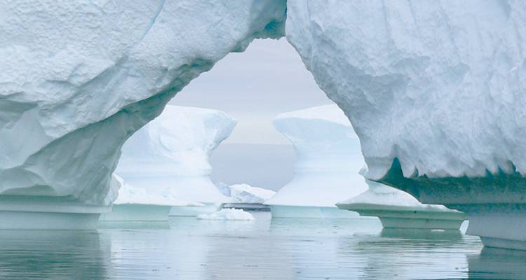 Discover Antarctica 10 days - Intrepid Travel