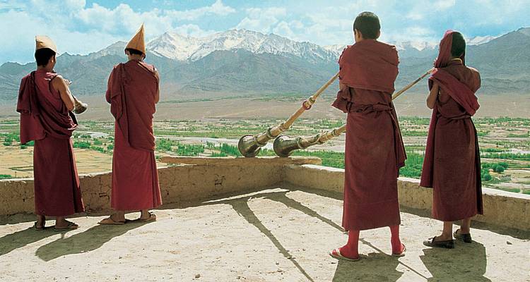 Little Tibet (Phyang Festival) - Explore!