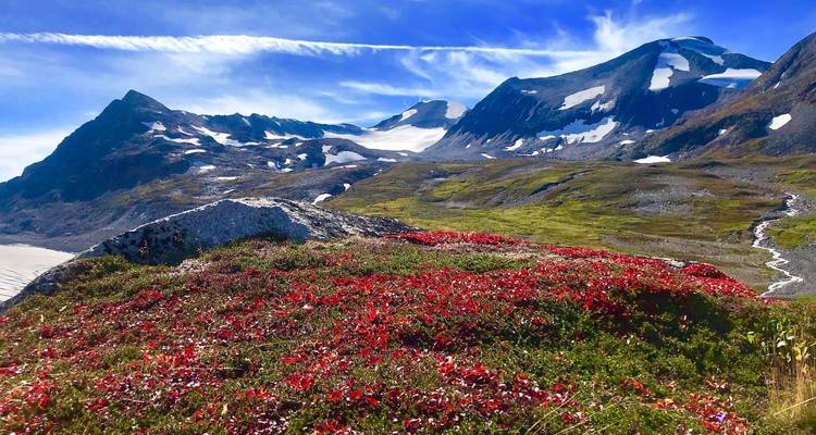 Mountain view with bright red foreground foliage.