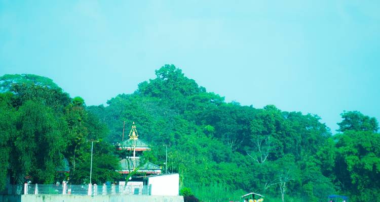 Une pagode lointaine au milieu d'une végétation dense et sous un ciel bleu.