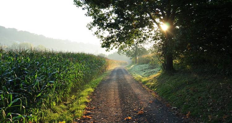 Wine Villages of Alsace Cycling - Exodus Travels