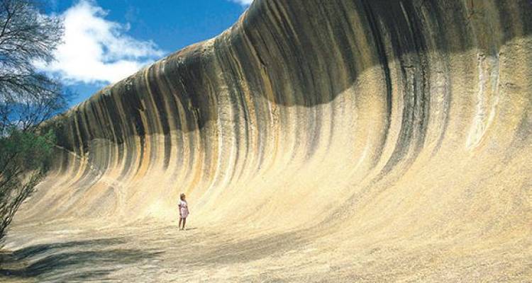 1 Day Wave Rock, York, Wildflowers and Aboriginal Culture - ADAMS Pinnacle Tours