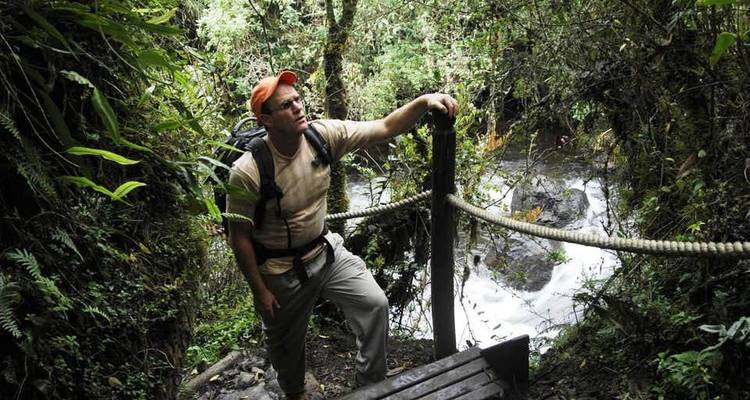 Ecuadorian Amazon and Andean Circuit 7 Days - 6 Nights - BM Tours
