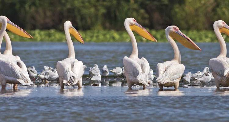 Eastern Enlightenment 2019 (Start Belgrade, End Bucharest) - Scenic Luxury Cruises & Tours