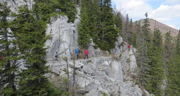 Trois personnes font une randonnée sur un sentier rocailleux et boisé.