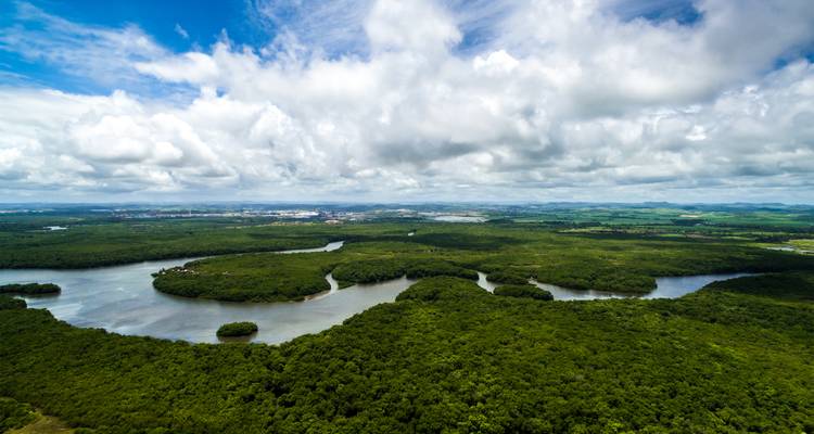 Aerial view of lush green landscape with rivers