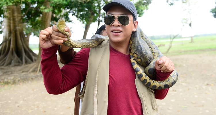 Person handling a large snake outdoors