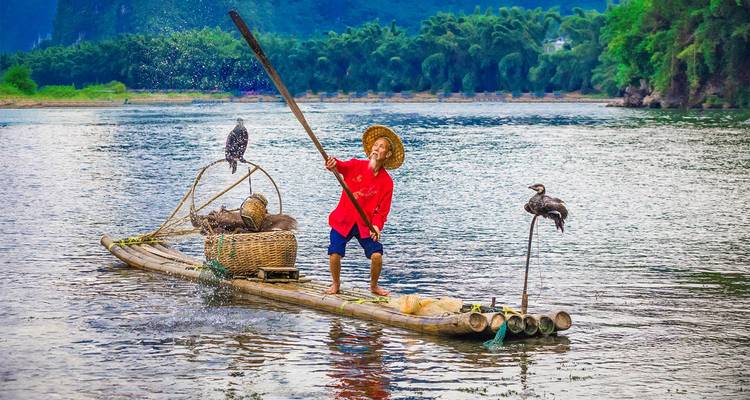 Un pescador tradicional se equilibra en una balsa de bambú con cormoranes en el tranquilo río Li.