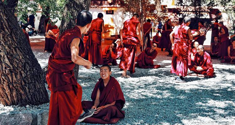 Monniken in rode gewaden voeren een levendige discussie onder schaduwrijke bomen in het Sera Klooster in Lhasa.