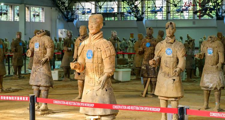 Terracotta-krijgers op een rij in een conserveringswerkplaats met blauwe labels en veiligheidsbarrières.