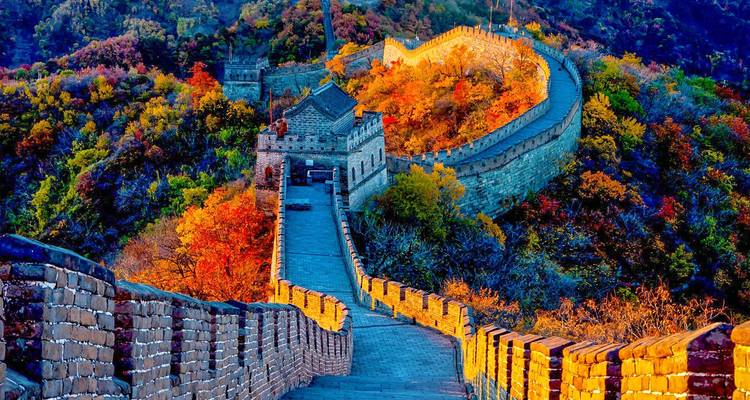 Autumn sunset bathes the Great Wall and surrounding colorful forest in golden light.