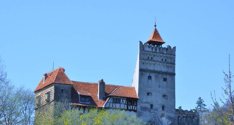 Kasteel Bran in Roemenië, omlijst door bomen.