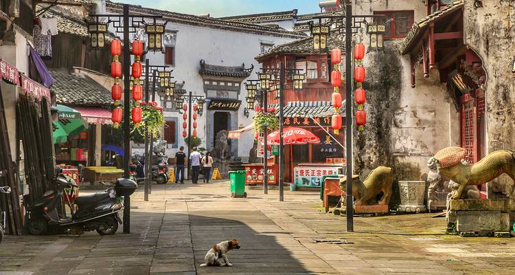 Historische chinesische Gasse mit roten Laternen, alten Steingebäuden und einem einsamen Hund, der in der Sonne ruht.