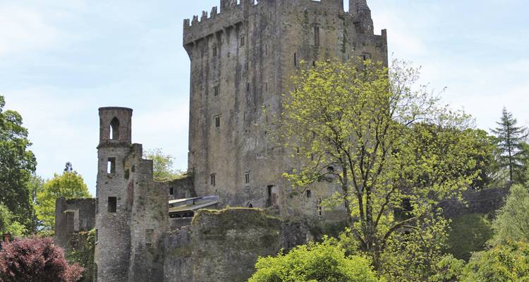 Irish Splendor (Kingscourt to Dublin) (Standard) - Collette