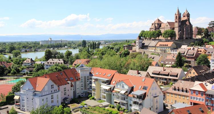 View over Breisach’s Rhine riverside neighborhood with cathedral crowning the hill on a bright day.