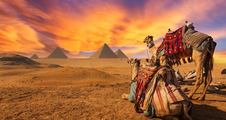 Essential Egypt Tours - Beyond The Nile Tours