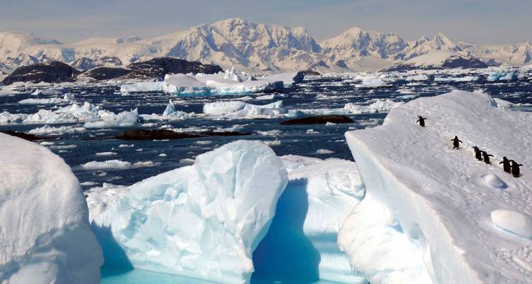 Antarctica, South Georgia & Falkland Islands - Scenic Luxury Cruises & Tours