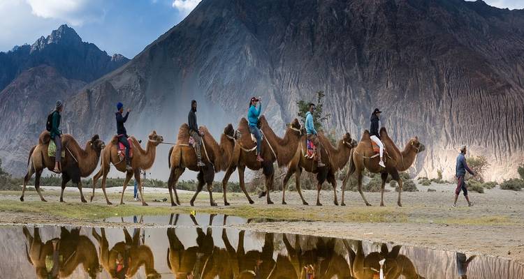 Groupe de personnes montant à dos de chameaux avec vue sur les montagnes en arrière-plan