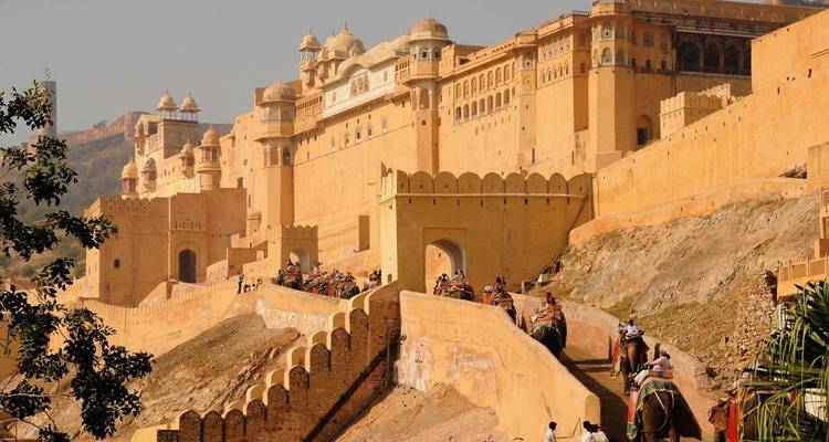 Le Fort d'Amber à Jaipur, en Inde, avec des éléphants qui montent le sentier.