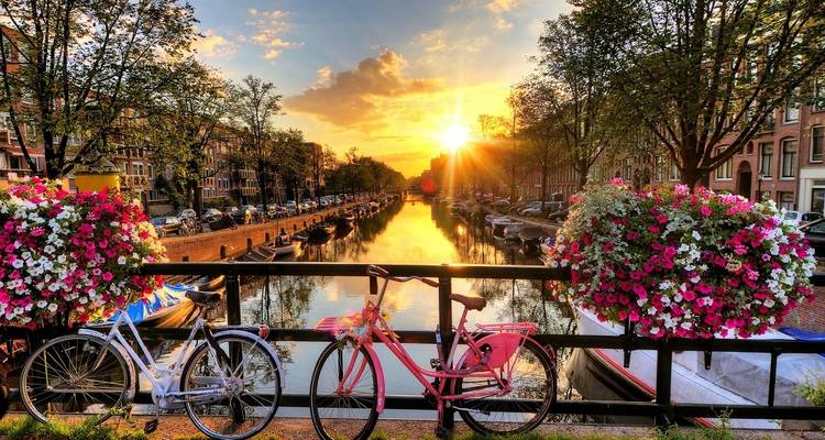 Vue pittoresque du canal avec des vélos et des fleurs à Amsterdam au coucher du soleil.