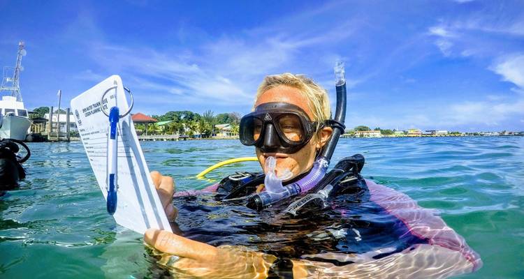 GIVE - SCUBA: Reef Conservation - Growth International Volunteer Excursions