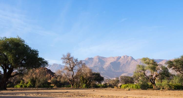 Paisaje desértico con montañas distantes.