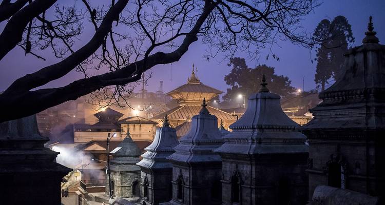 Tempels in de schemering met een boom op de voorgrond
