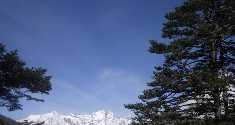 Crête de montagne saupoudrée de neige émergeant au-dessus des sapins sous un ciel bleu profond et dégagé