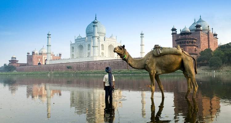Camello y persona delante del Taj Mahal junto al río.