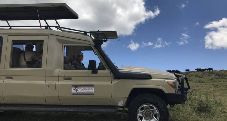 Safari truck met passagiers in een savannelandschap.
