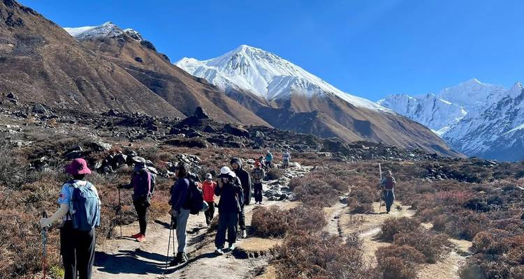 Groupe de randonneurs marchant le long d'un sentier alpin accidenté sous des sommets enneigés à la lumière du soleil éclatant.